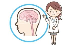 Pingin Otak Makin Cerdas, Lakukan 5 Kebiasaan Sederhana Ini