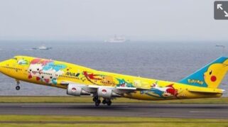 Livery Jet Garuda Indonesia