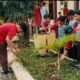 Kegiatan tanam pohon, SMPN 2 Rogojampi