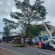 Perempesan pohon di jalan provinsi