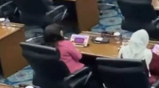 Anggota DPRD DKI, Cinta Mega