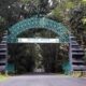 Wisatawan alas Purwo hilang