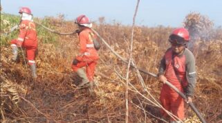 Kebakaran Hutan dan Lahan Terjadi di Riau