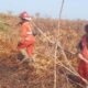 Kebakaran Hutan dan Lahan Terjadi di Riau