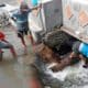 Korsda Pengairan Rogojampi,