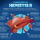symptoms of hepatitis B