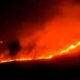 Hutan Kawah Wurung Gunung Ijen Terbakar, 1 Peleton Petugas Diterjunkan
