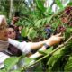 Pesta Rakyat Kopi Gombengsari