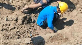 Temukan Fosil Gading Gajah