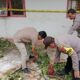 iga Siswa Tertimpa Tembok Toilet yang Roboh, Satu Tewas