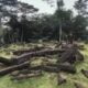 Batu-Batu Gunung Padang Menghasilkan Listrik dan Musik Purba