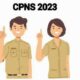 Pendaftaran CPNS 2023 dan PPPK Resmi Dibuka Malam Ini, Berikut Rinciannya