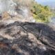 Kebakaran Hutan di Banyuwangi
