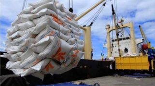 Pemerintah Rekor Impor Beras Dari 3,5 Juta Ton Hanya 2,6 Juta Ton yang Terealisasi