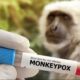 Dinas Kesehatan Banyuwangi, Waspada Cacar Monyet (Monkeypox)