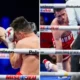 Kekejaman Artur Beterbiev, Meraih kemenangan KO 20-0, Bivol Korban Berikutnya?