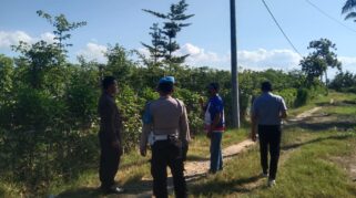 Kebun Buah Naga Warga Banyuwangi Kembali Disatroni Maling