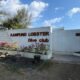 Kampung Lobster Divo Club