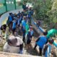 Dinas PU Pengairan Banyuwangi bekerjasama dengan Sungai Watch, PLC, dan relawan membersihkan Daerah Aliran Sungai (DAS) Pecemengan di Blimbingsari