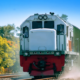 Kereta api melintas di jalur Banyuwangi-Surabaya.