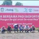 Sejumlah orang, termasuk perwakilan Danone Aqua, sedang menanam bibit padi Biofortifikasi di Desa Benelan Kidul, Banyuwangi.