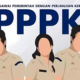 Cek Hasil Pengumuman PPPK 2024 Tahap 1