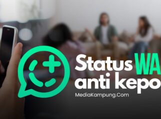 Ilustrasi fitur privasi status WhatsApp