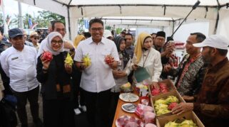 Wamentan bersama bupati banyuwangi kunjungi panen organik