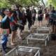 Aksi transplantasi terumbu karang PHI di Bangsring Underwater