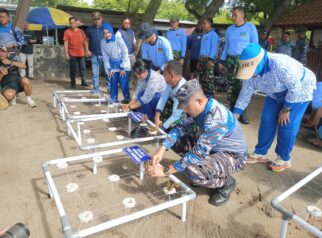 pasukan Kopaska TNi AL melakukan Transplantasi terumbu karang di Bangsring underwater Banyuwangi