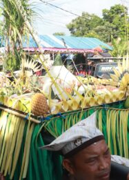 Pawai Seribu Tumpeng Hasil Bumi Keliling Kampung di Banyuwangi