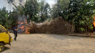 Gerebek New Blue Star, Polda Sumut Amankan Pengedar dan Sita Ekstasi hingga Miras Ilegal Polda Sumut Bakar Dua Barak Narkoba