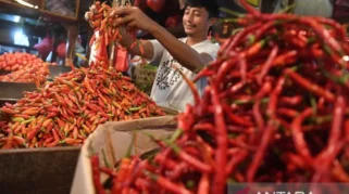 Ilustrasi harga cabai merah dan bahan pangan di pasar tradisional Indonesia