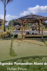 Pemandangan Camp Selo Aji dengan pemandian alami dan hutan pinus di Kaligondo