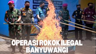 Operasi gabungan Satpol PP dan Bea Cukai penertiban rokok ilegal di Banyuwangi