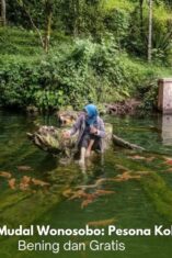 Kolam alami Mata Air Mudal Wonosobo dengan air jernih dan ikan koi yang berenang di dalamnya.