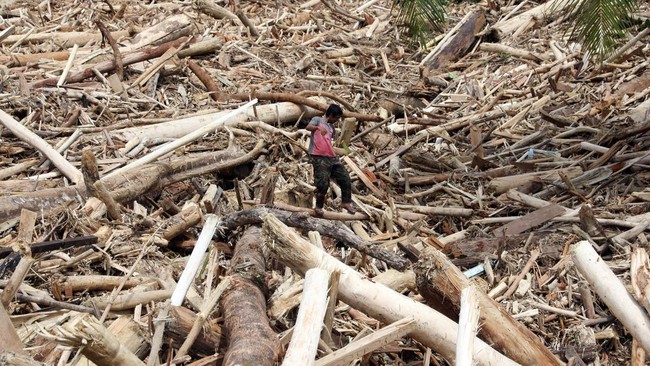 KLH mencabut izin delapan perusahaan terkait banjir dan longsor di Sumatra