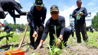 Penanaman bibit pohon di kawasan hutan Perhutani Banyuwangi Barat