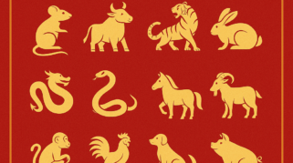 ramalan shio 10 Desember 2025 menampilkan 12 shio beserta warna keberuntungannya.