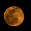 Super Cold Moon tampak besar di langit malam Indonesia
