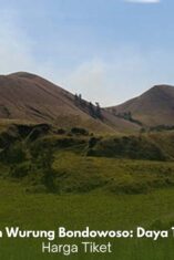 Pemandangan savana hijau Kawah Wurung Bondowoso