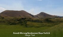 Pemandangan savana hijau Kawah Wurung Bondowoso