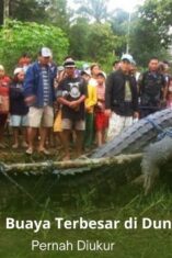 Lolong, buaya air asin raksasa pemegang rekor dunia