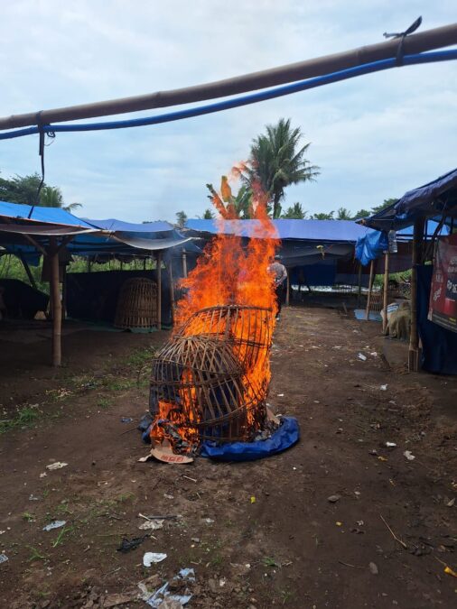 Fasilitas sabung ayam di singojuruh di bakar petugas kepolisian
