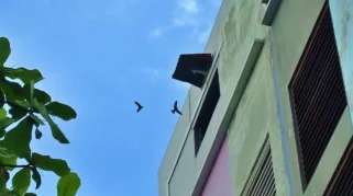 Kantor PT Abadi Lestari Indonesia Tbk