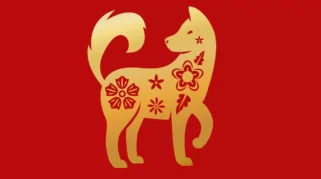 Ramalan Shio Anjing 2026 tentang rezeki, karier, dan kehidupan