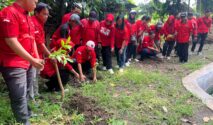 PDI Perjuangan Banyuwangi Tanam Pohon di Ketapang