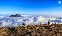 Papan informasi penutupan jalur pendakian Gunung Merbabu