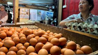 Pedagang menata cabai rawit merah dan bahan pangan di pasar tradisional