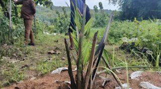 Gubernur Jawa Barat Dedi Mulyadi saat memberikan keterangan